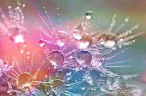 drop-of-water-862316_960_720